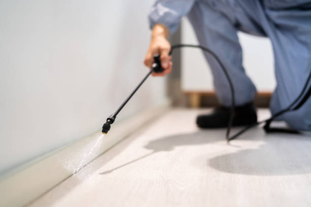 Certified termite inspector examining foundation in Dulles Town Center