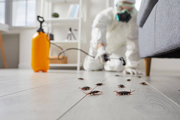 Commercial Kitchen Cockroach Control in Dulles Town Center